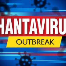How to Protect Your Daycare from Hantavirus