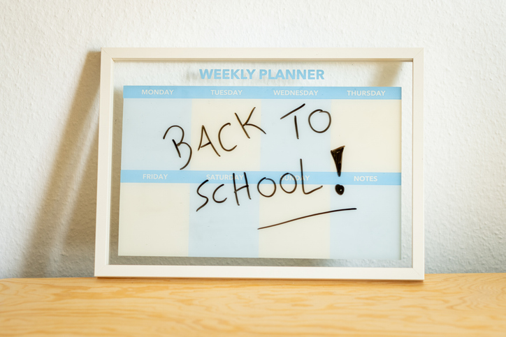 Weekly Cleaning Schedule Tasks
